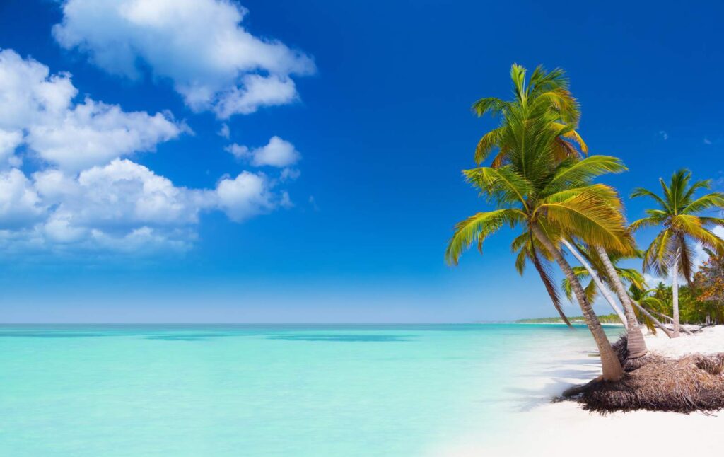 Nemovitosti v exotice